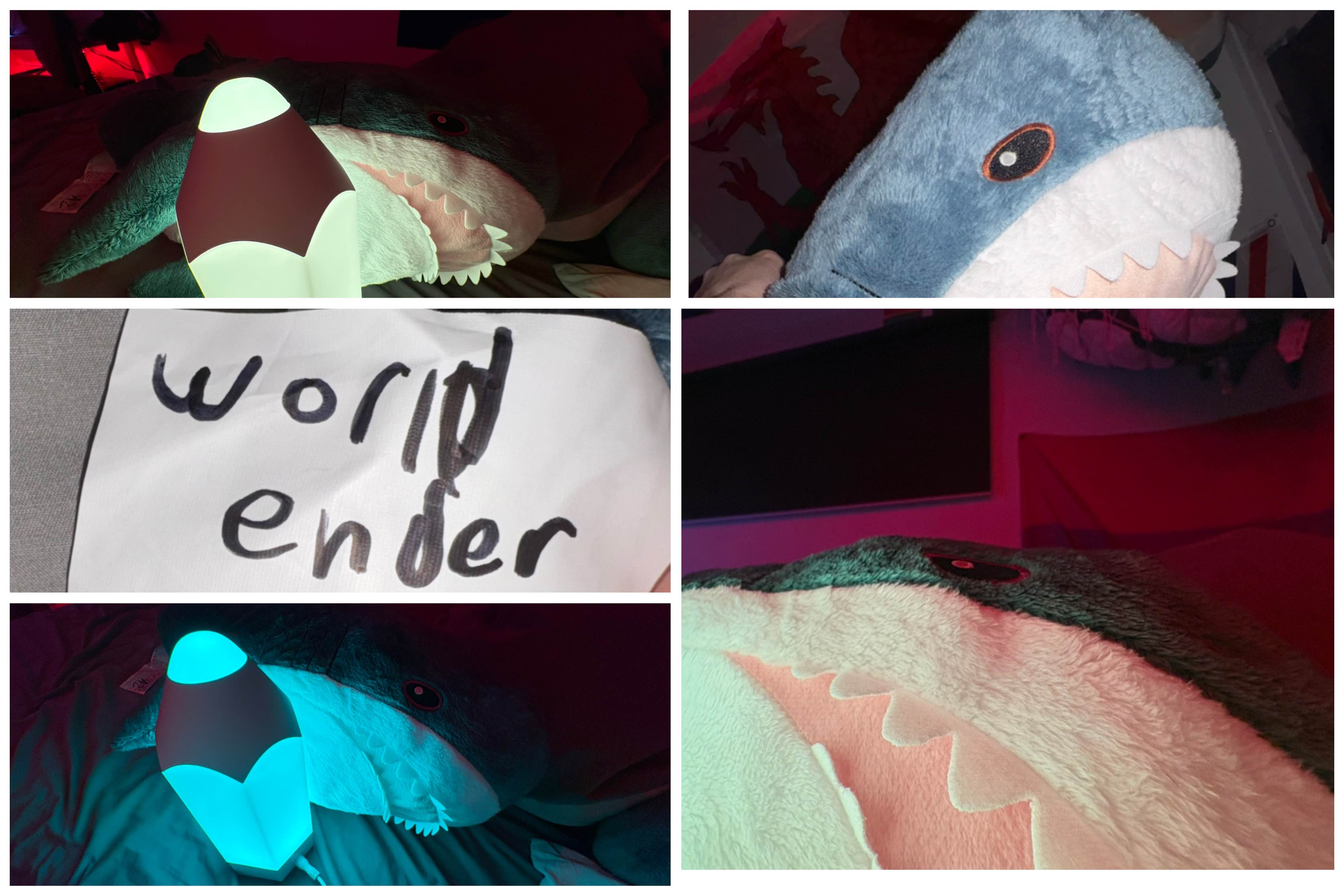 World Ender